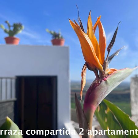 Casa Abades Arcos De La Frontera Apartment Ngoại thất bức ảnh