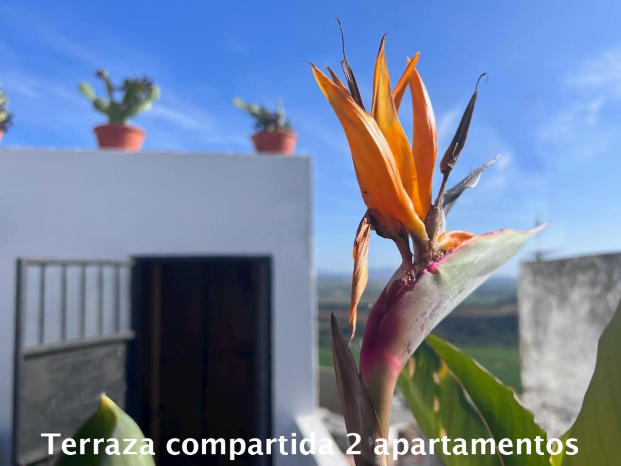 Casa Abades Arcos De La Frontera Apartment Ngoại thất bức ảnh